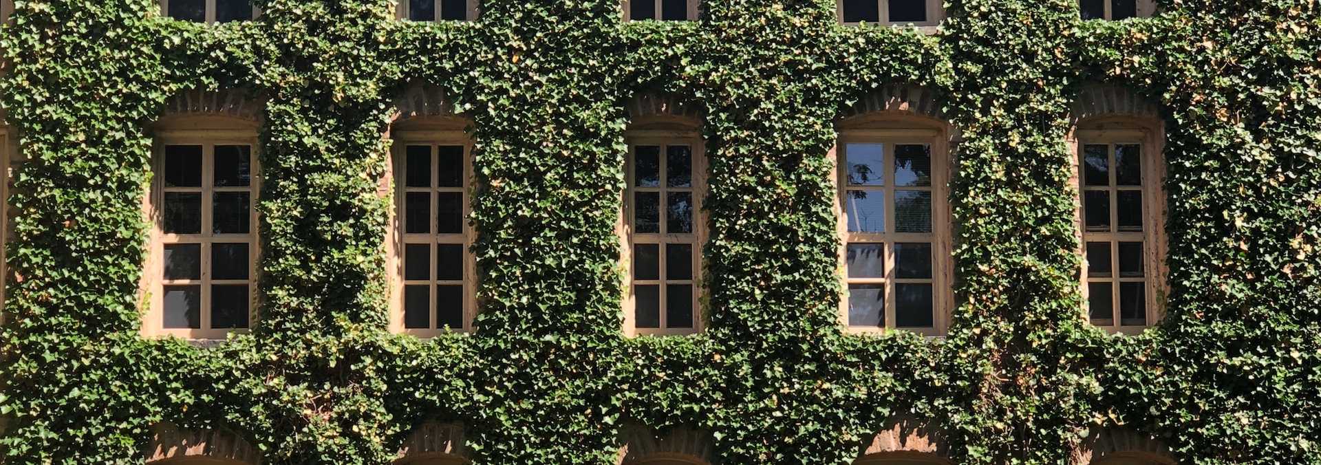 A building at Princeton University with ivy on the walls