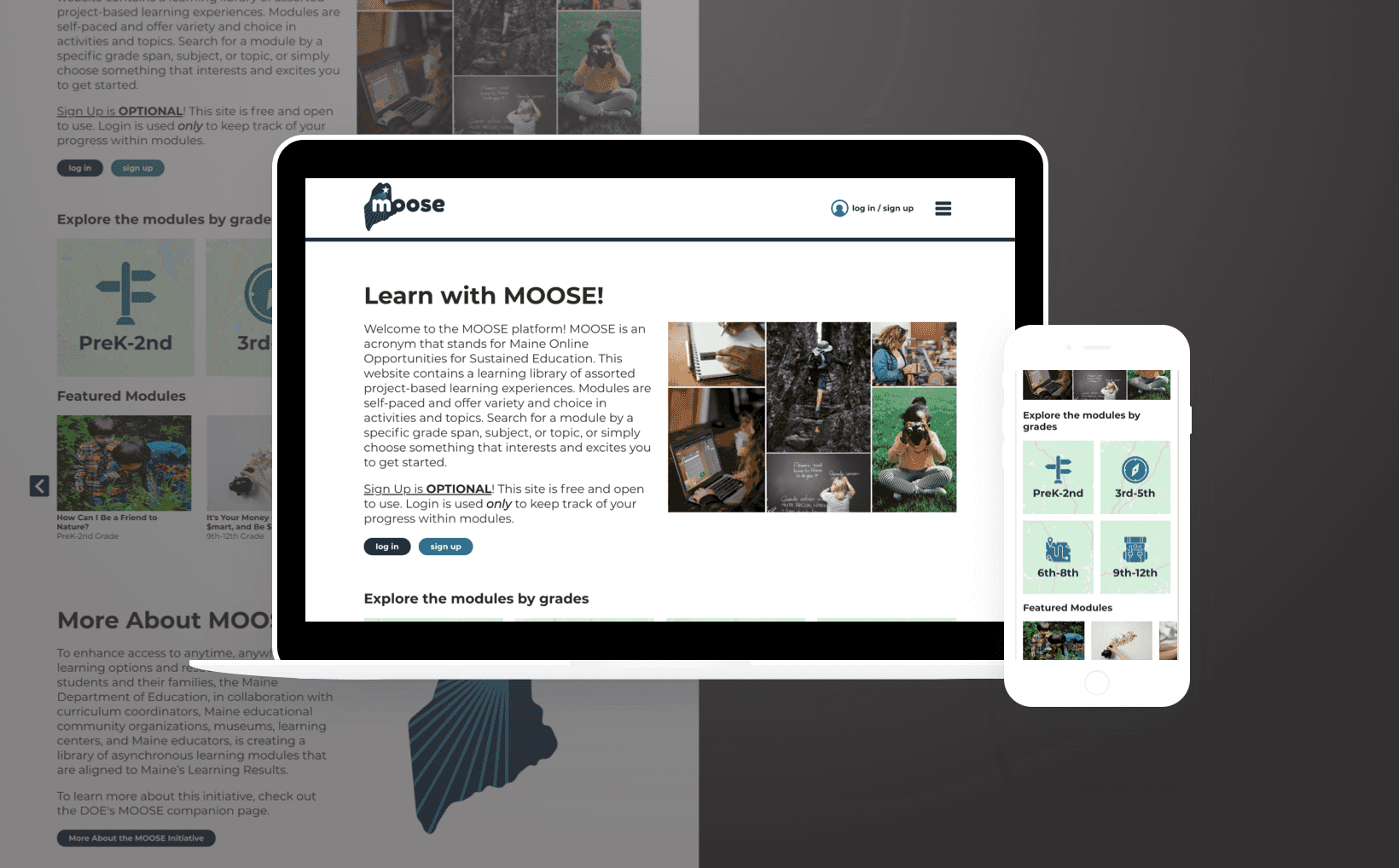 MOOSE homepage