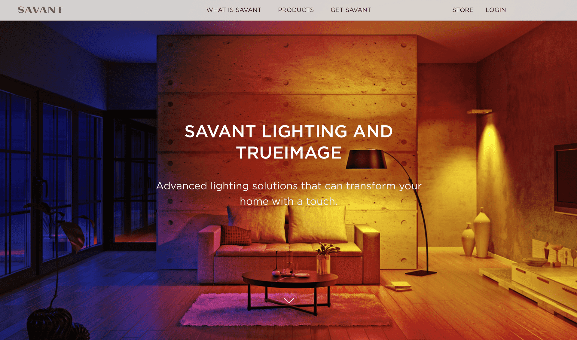 Savant lighting and true image display